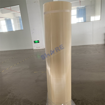 China Factory PPS Mesh 260μm Thickness 340μm Opening for Feed and Food Drying Polyphenylene Fulfide Mesh Belt